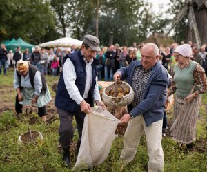 Impreza plenerowa - Jesień w Polu i Zagrodzie