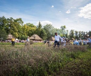 XVIII Podlaskie Święto Chleba - fotorelacja