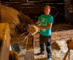 Jesień w polu i zagrodzie