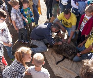 JESIEŃ W POLU I ZAGRODZIE w ramach Europejskich Dni Dziedzictwa 18 września 2016 r.