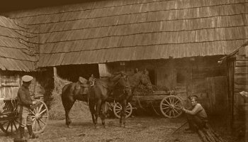 Wernisaż wystawy &quot;Społeczne skutki wielkiej wojny 1914-1918 w świetle dokumentów archiwalnych
