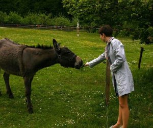 Początek wiosny w Muzeum Rolnictwa im. ks. K. Kluka w Ciechanowcu to czas dla zwierząt.