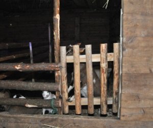 Szopka bożonarodzeniowa