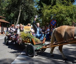 XVIII Podlaskie Święto Chleba - fotorelacja