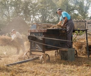 XVI Podlaskie Święto Chleba