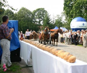 VII PODLASKIE ŚWIĘTO CHLEBA