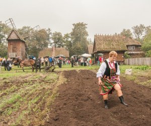 Wykopki w Skansenie 2013