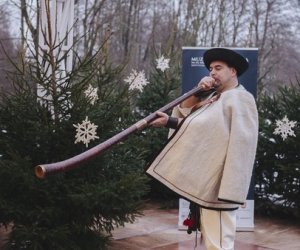 Ligawki 2018