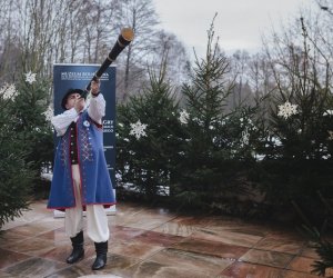 Ligawki 2018