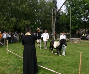 VII PODLASKIE ŚWIĘTO CHLEBA