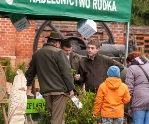 Jarmark św. Wojciecha 2016