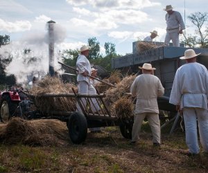 XVIII Podlaskie Święto Chleba - fotorelacja