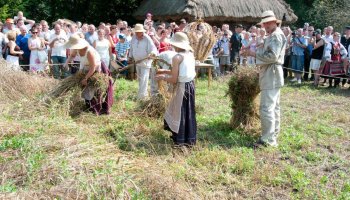 Podlaska Marka Roku 2010