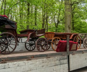 KONSERWACJA ZABYTKOWYCH POJAZDÓW ZAPRZĘGOWYCH ZE ZBIORÓW MUZEUM...