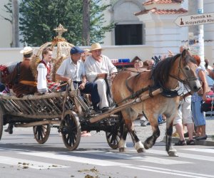 X PODLASKIE ŚWIĘTO CHLEBA