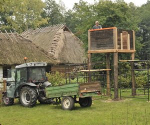 Rekonstrukcja sernika - zatraconego obiektu małej architektury