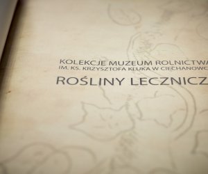 Zażycie Roślin Lekarskie, czyli wiadomość dla miłośników tradycyjnego ziołolecznictwa