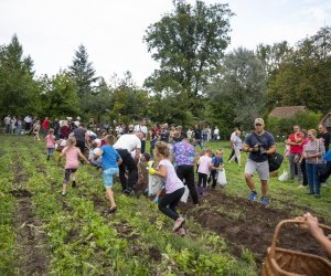 Jesień w polu i zagrodzie - fotorelacja - 15 września 2024