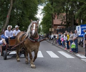 XVI Podlaskie Święto Chleba