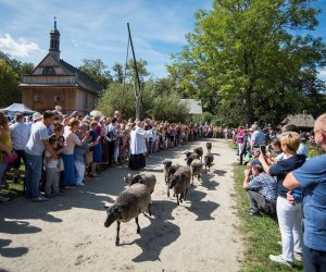 XVIII Podlaskie Święto Chleba - fotorelacja