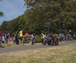 Piknik "Poznaj Zdrową Żywność" - fotorelacja