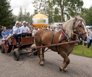 XVI Podlaskie Święto Chleba