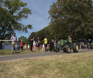 Piknik "Poznaj Zdrową Żywność" - fotorelacja