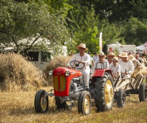 XXIII Podlaskie Święto Chleba - fotorelacja