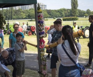 Piknik "Poznaj Zdrową Żywność" - fotorelacja