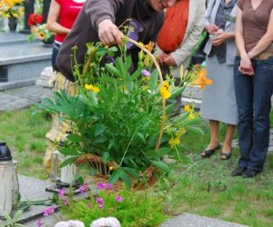 Rośliny lecznicze w kulturze, nauce i sztuce,