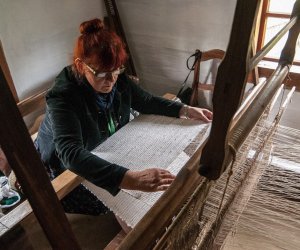 Jarmark św. Wojciecha i Święto Lasu