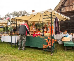 JESIEŃ W POLU I ZAGRODZIE