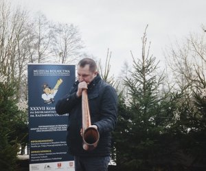 Ligawki 2018