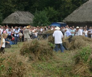 VII PODLASKIE ŚWIĘTO CHLEBA