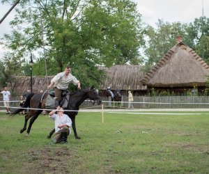 X Zajazd Wysokomazowiecki - fotorelacja