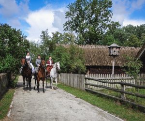 X Zajazd Wysokomazowiecki - fotorelacja