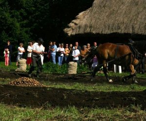 Wykopki w skansenie 2009