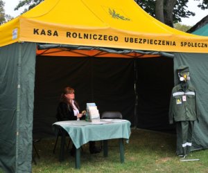 Wykopki w Skansenie