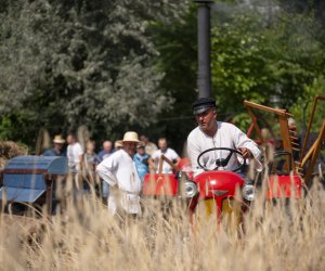 XXIII Podlaskie Święto Chleba - fotorelacja