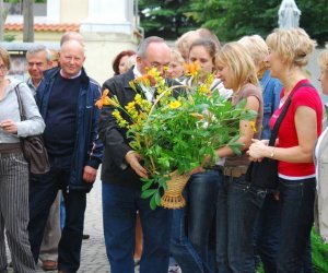 Rośliny lecznicze w kulturze, nauce i sztuce,