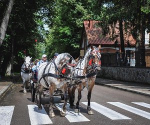 X Zajazd Wysokomazowiecki - fotorelacja