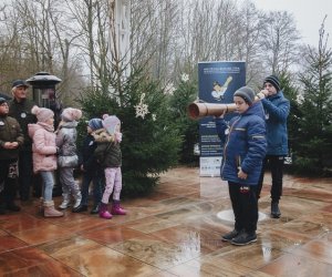 Ligawki 2017 - fotorelacja