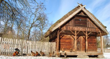 NIECOdziennik Muzealny Mieszkańcy Muzeum – „Na Kurzej Łapce”