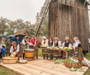 Wykopki w Skansenie 2013