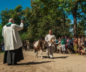 XV Podlaskie Święta Chleba w Muzeum Rolnictwa im. ks. Krzysztofa Kluka w Ciechanowcu