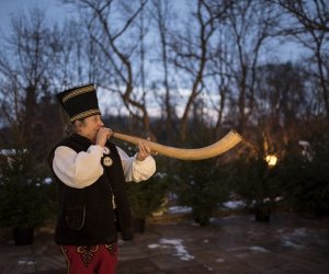 LIGAWKI 2016 - Fotorelacja z konkursu