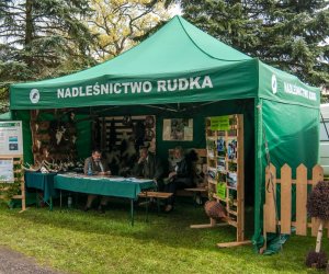 Jarmark św. Wojciecha i Święto Lasu