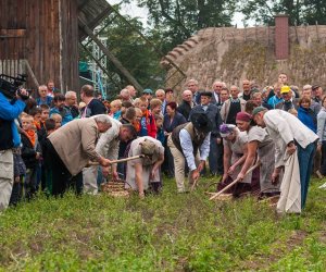 JESIEŃ W POLU I ZAGRODZIE