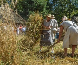 XV Podlaskie Święta Chleba w Muzeum Rolnictwa im. ks. Krzysztofa Kluka w Ciechanowcu