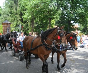 VIII Zajazd Wysokomazowiecki, 15.07.2012.